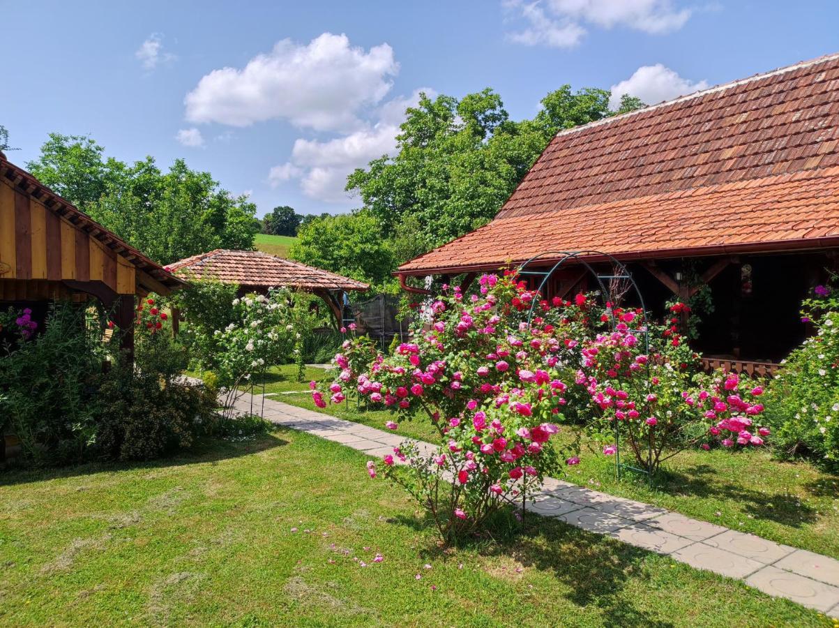 Pod Orehom Drvena Kuca I Sauna Hotell Krapina Eksteriør bilde